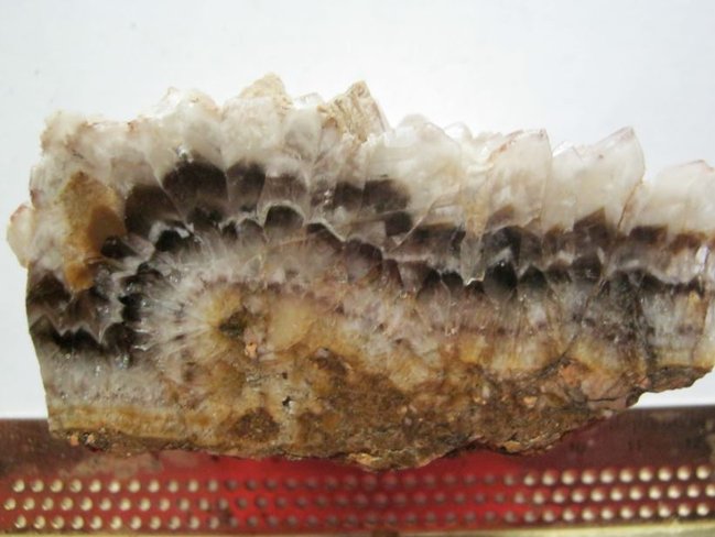 a k 01.JPG