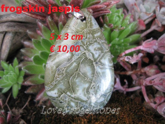 jaspisfrogskin5x3.JPG