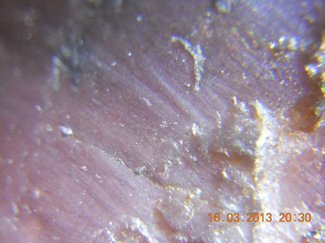 031.JPG