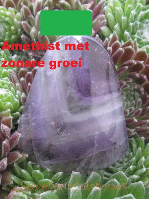 amethistzonar (2).JPG