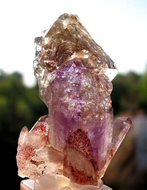 AmethRauchLepi (8).JPG