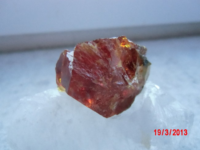 Honigblende