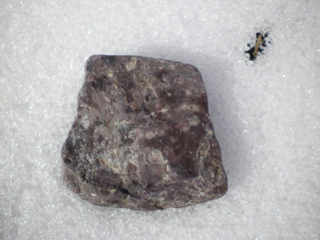 b 007.jpg