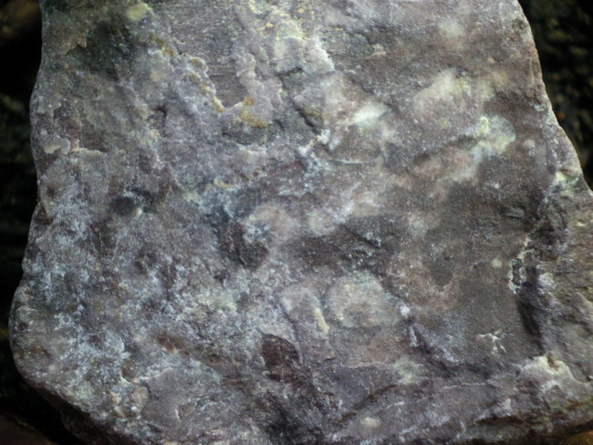 b 044.jpg