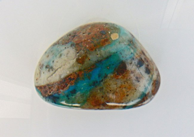 BILD0153klein.jpg