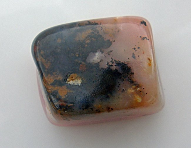 rosa2.jpg