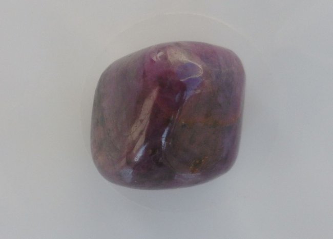 BILD0177b.jpg