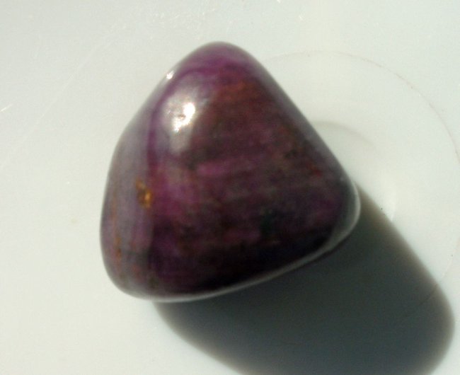 BILD0183b.jpg