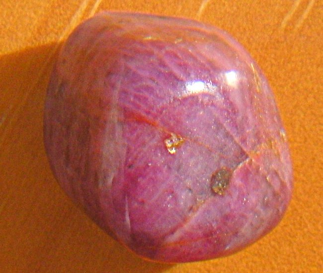 BILD0175a.jpg