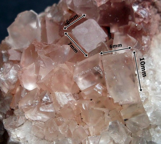 ausschnitt rosa flo kl.JPG
