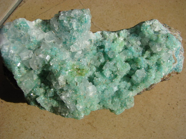 grün1