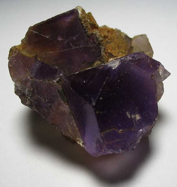 FluoReg5.jpg