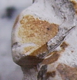 detail.jpg