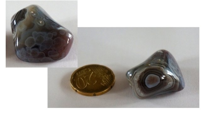 Der hat mit seinem großen Auge und den vielen kleinen ganz neugierig aus der Box geschaut