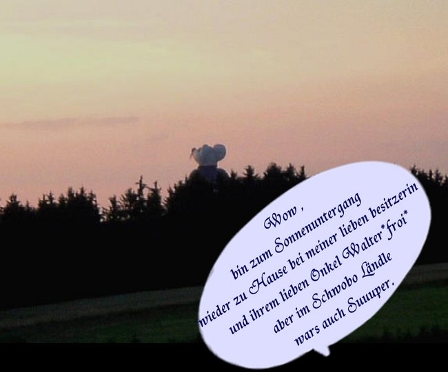 04 mäuschen versteckt sich im wald .jpg