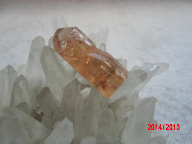 DSCI0190.JPG