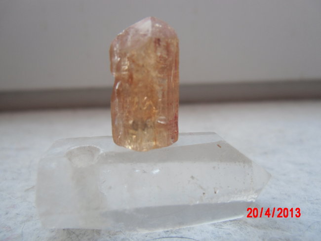 DSCI0194.JPG