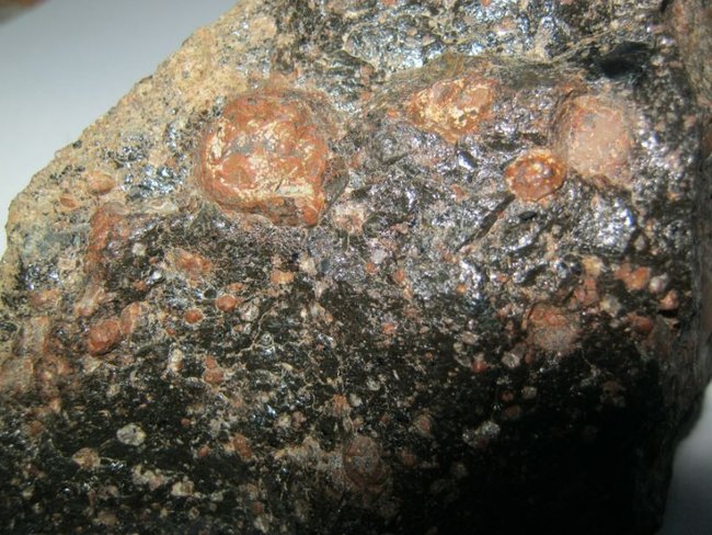 p01.JPG