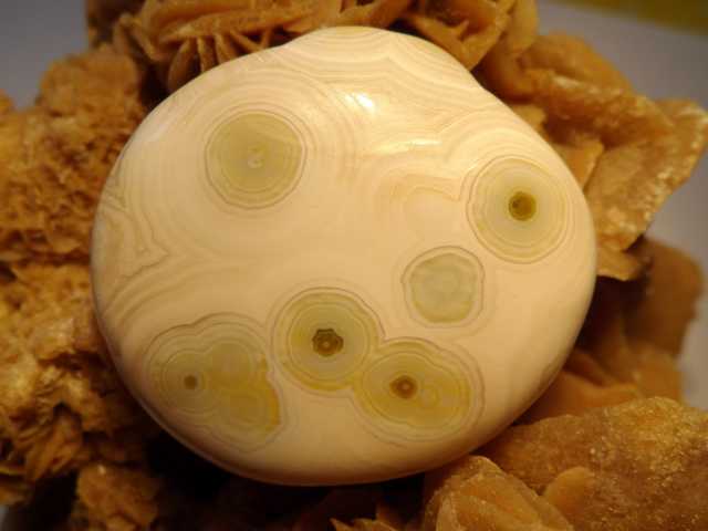 Ozeaner