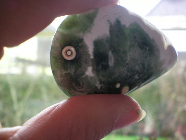 SANY0010.jpg