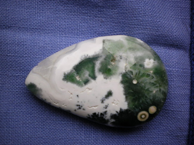 SANY0019.jpg
