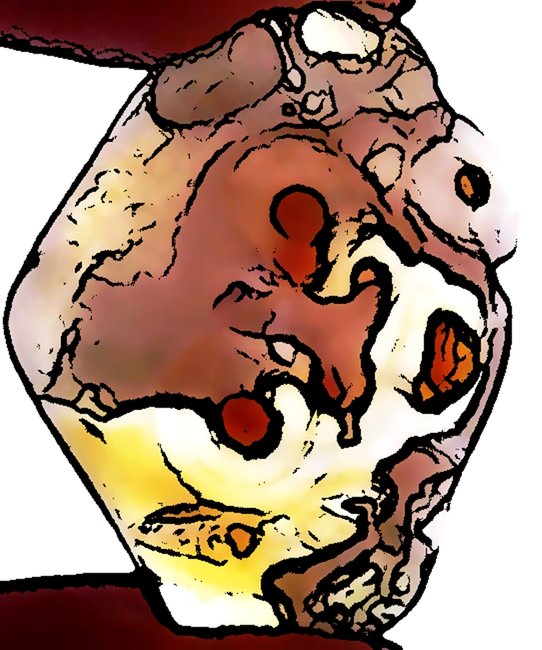 test.JPG