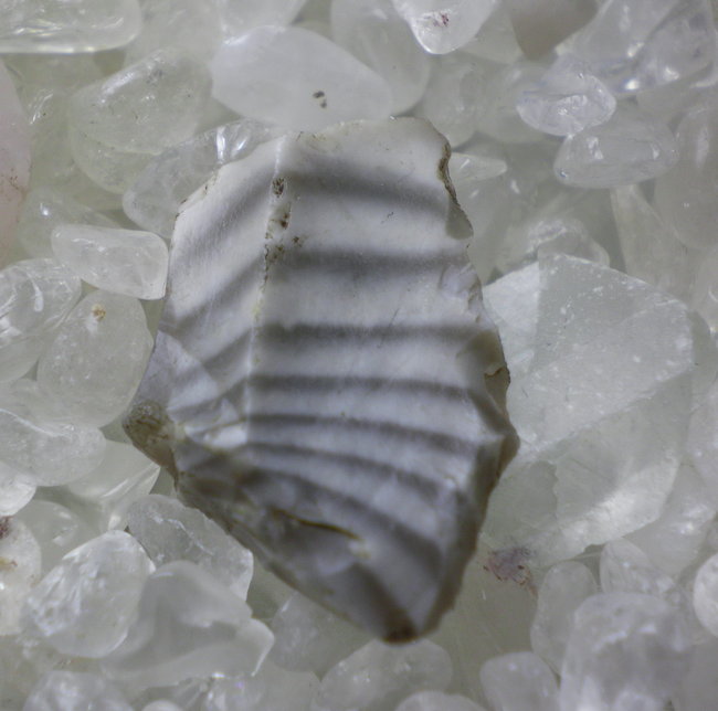 SANY0001.jpg