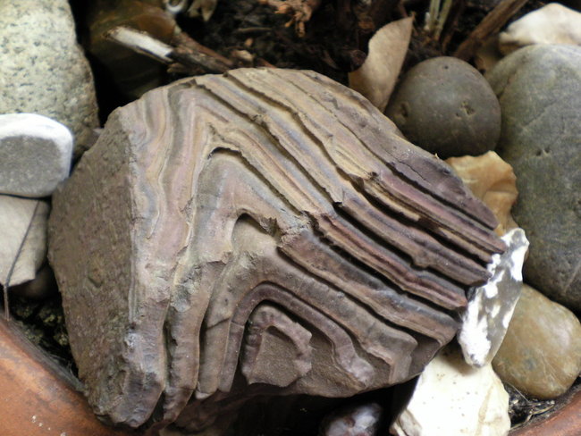 SANY0003 (2).jpg