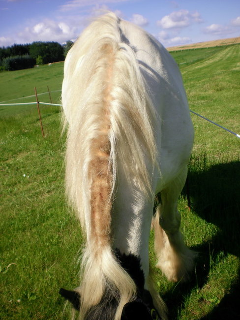 July 2012 6.jpg
