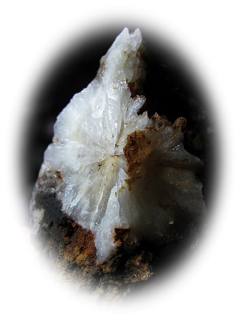 stars333 016.JPG