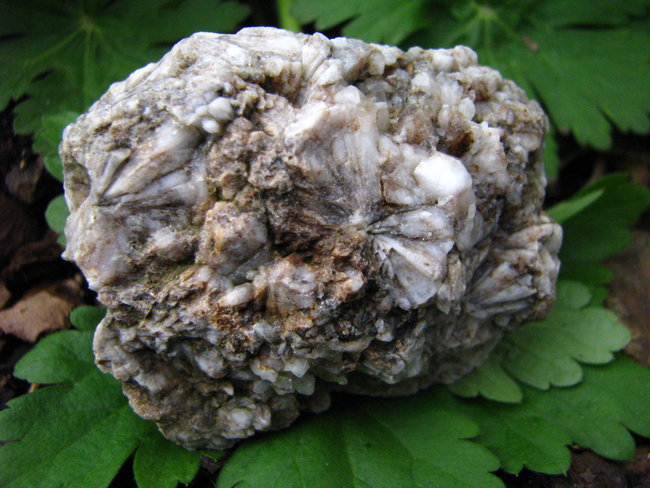 Sternquarz
