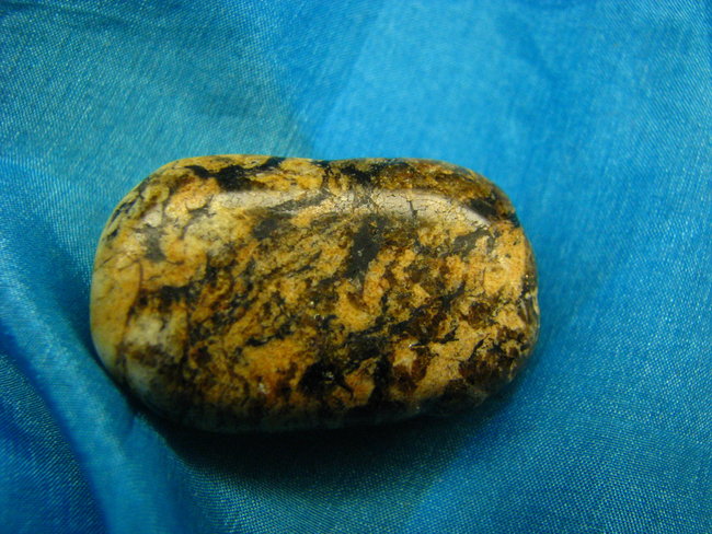 Orthogneis