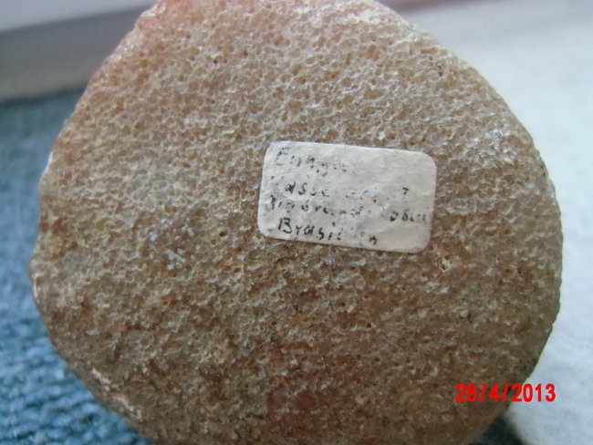 DSCI0218.JPG