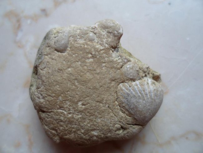 schillkalk