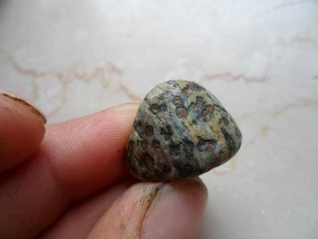 Granat Epidot Amphibolit und quarz band