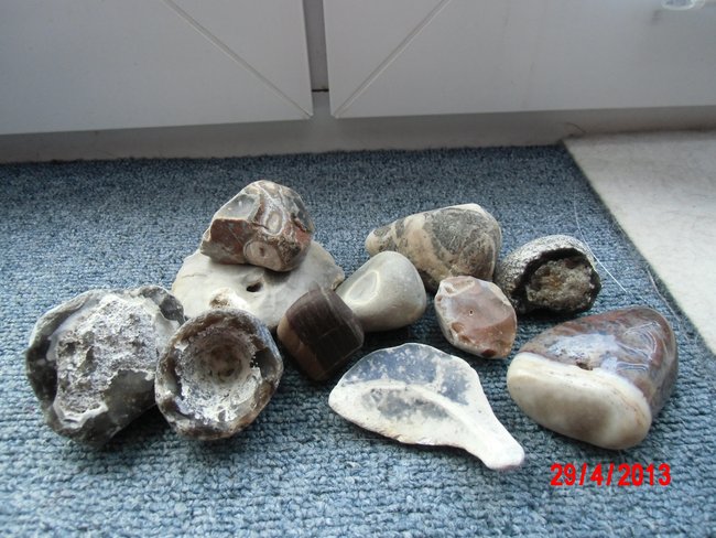 DSCI0219neu.jpg