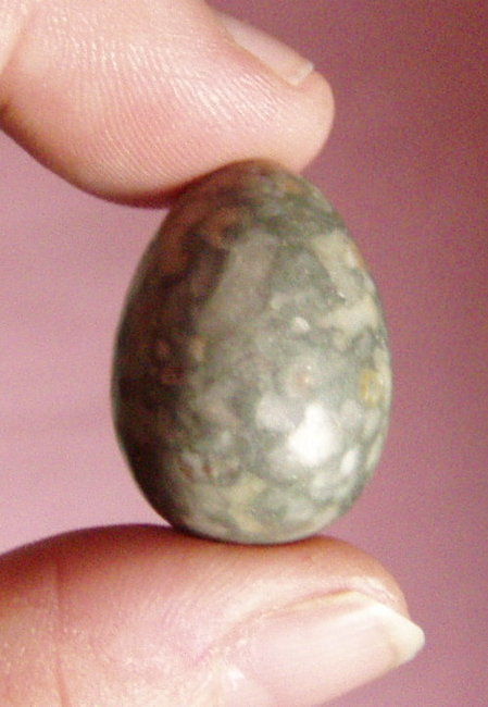 P1010079.JPG