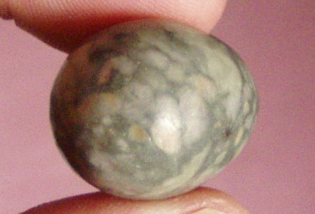 P1010081klein.JPG
