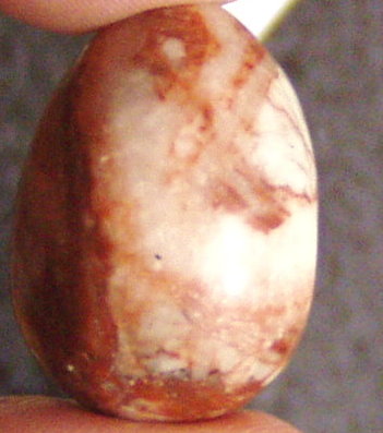 P1010076klein.JPG