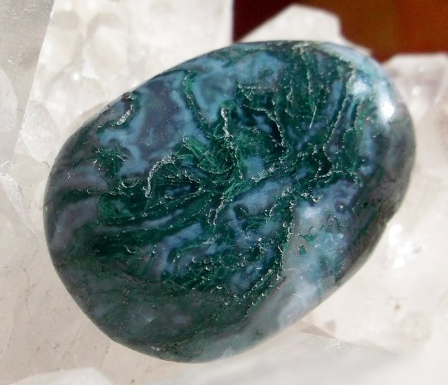 DSCF2698.JPG
