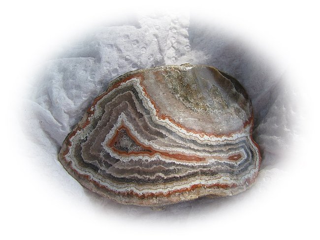 Achate von Sven 003.JPG