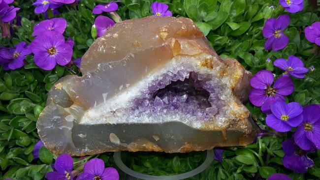 Amethystdruse aus Uruguay. :-)