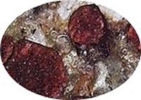 HelmutsSchätze.jpg