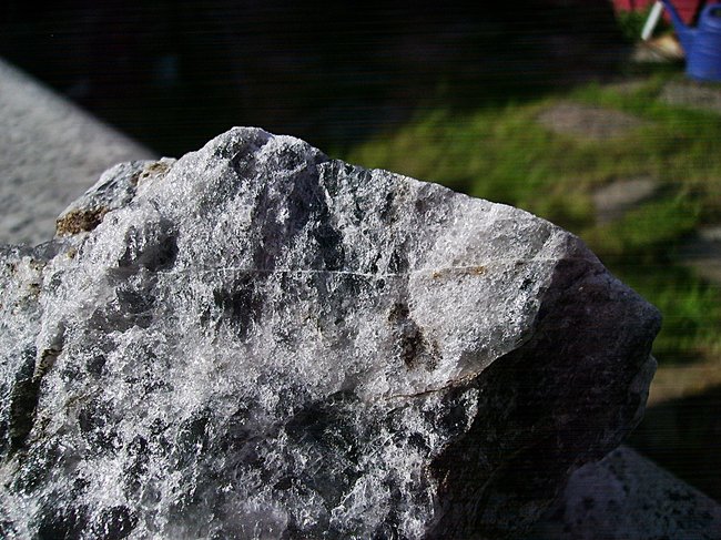 IMG_3939.JPG
