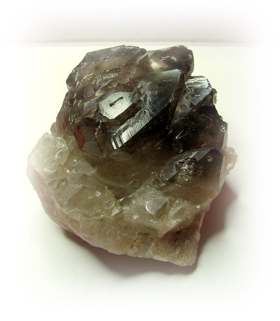 rauchis 002.JPG