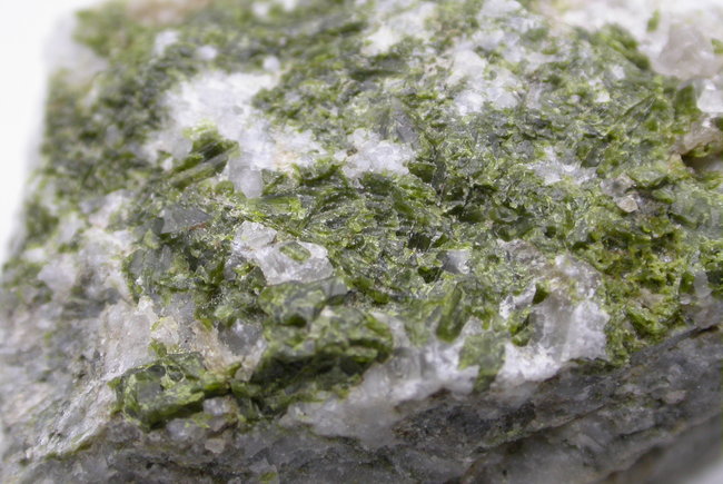 DSCN6458.JPG