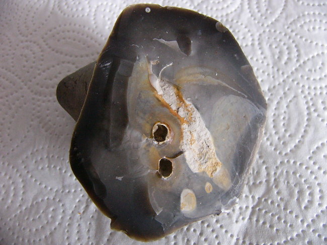 P1260543.JPG