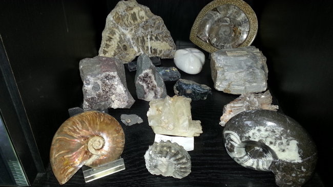 Meine Sammlung. :-)