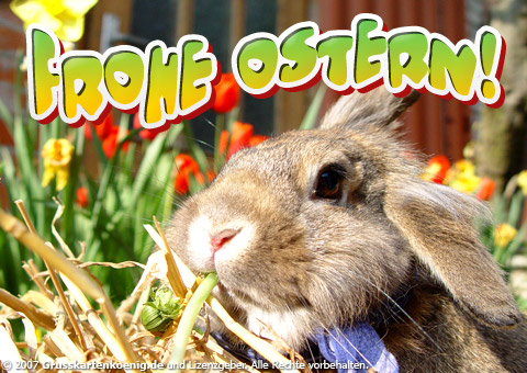frohe_ostern.jpg