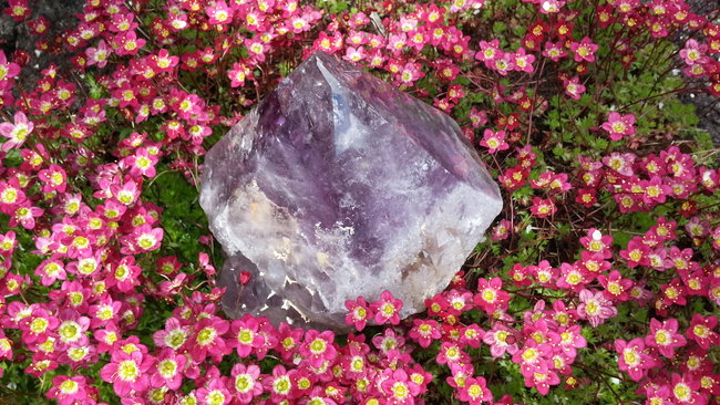 Amethyst Spitze aus Brasilien. :-)